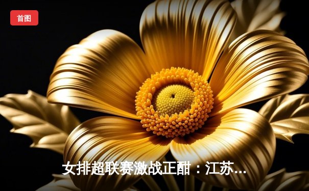 女排超联赛激战正酣：江苏险胜天津，张常宁关键分定乾坤